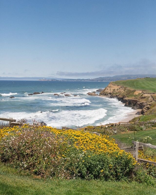 I've been intentionally quiet on social media since the beginning of the COVID19 pandemic - it's been difficult and has felt weird to just keep posting pretty pictures in the midst of this public health crisis, and I have needed emotional headspace t